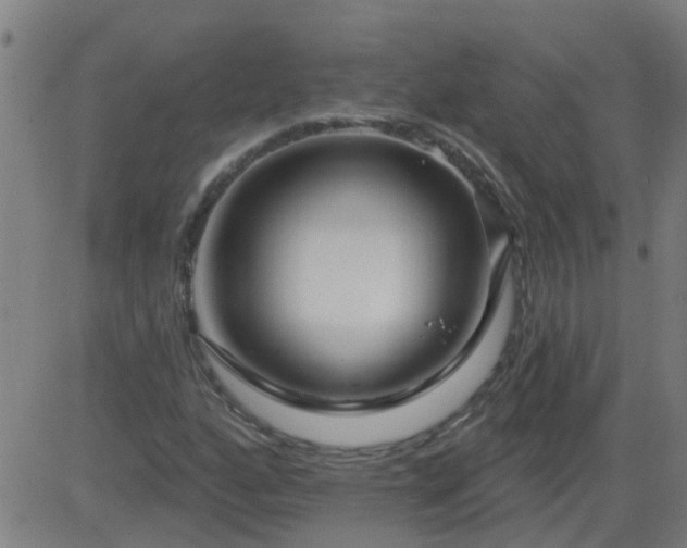X0000083591160200702162136