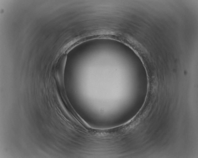 X0000083591169200702162136