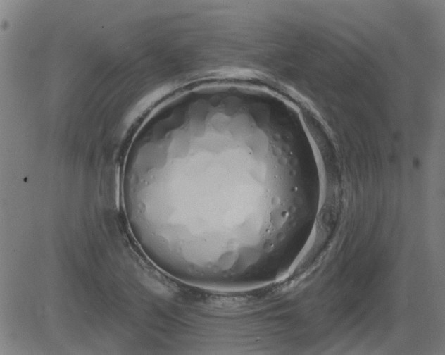 X0000083591171200702162136