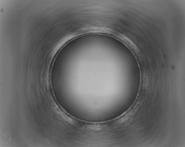 X0000083591182200702162136