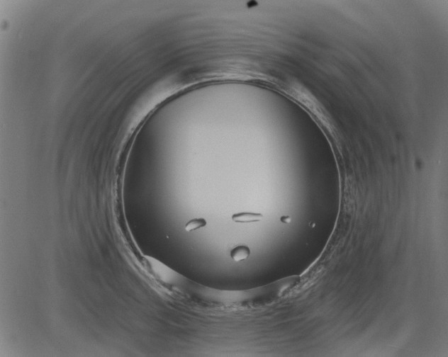 X0000083591187200702162136