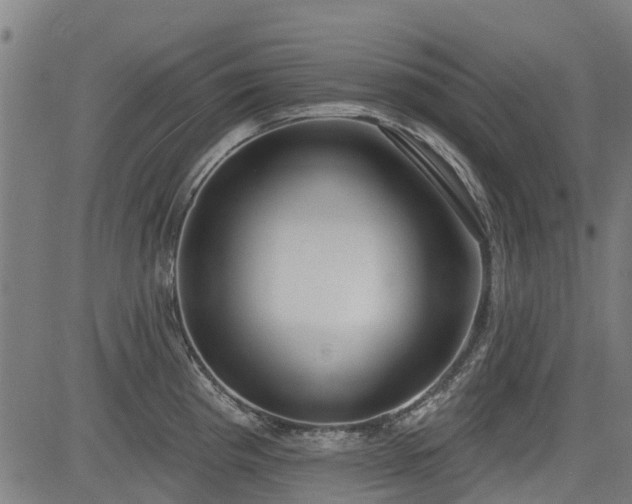 X0000083591193200702162136