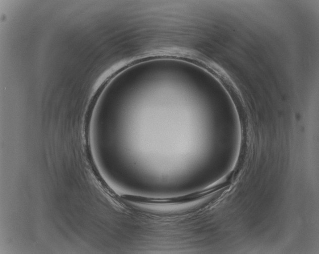 X0000083591230200702162135
