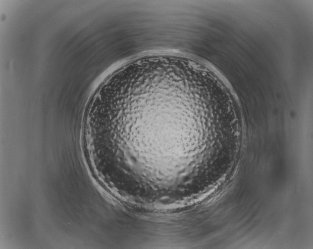 X0000083591245200702162135