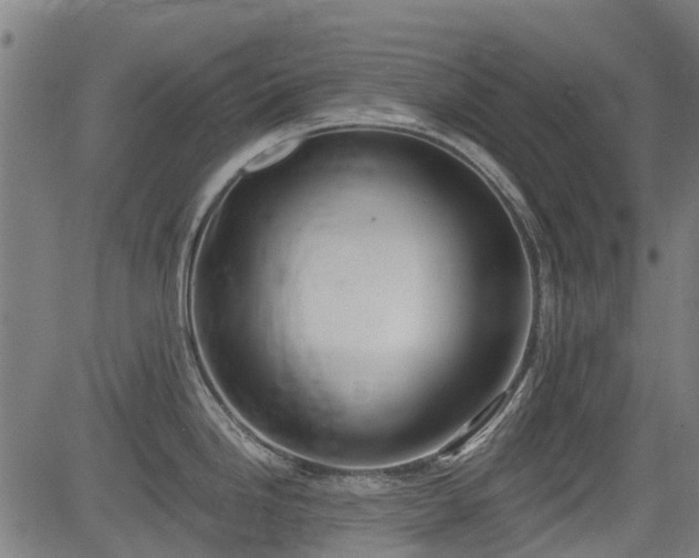 X0000083591246200702162135
