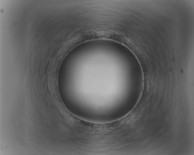 X0000083591249200702162135