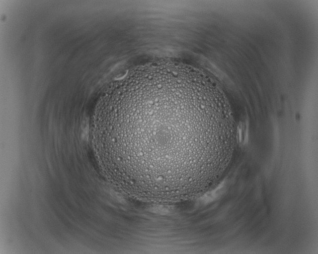 X0000083591251200702162135