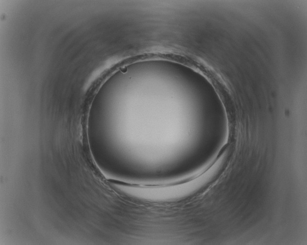 X0000083591262200702162134