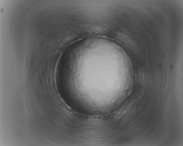 X0000083591297200702162133