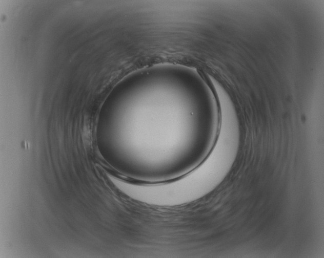 X0000083591298200702162133