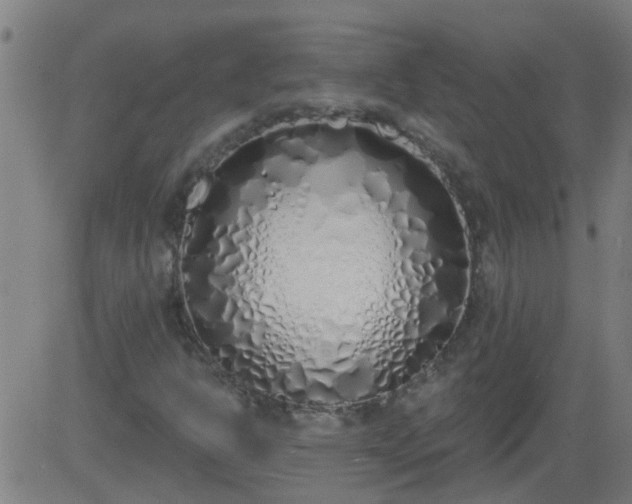 X0000083591302200702162133