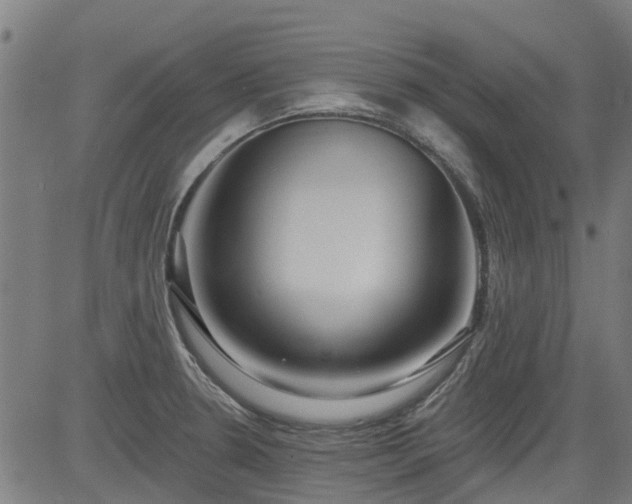 X0000083591330200702162134