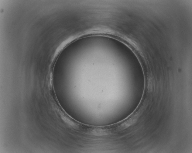 X0000083591366200702162133
