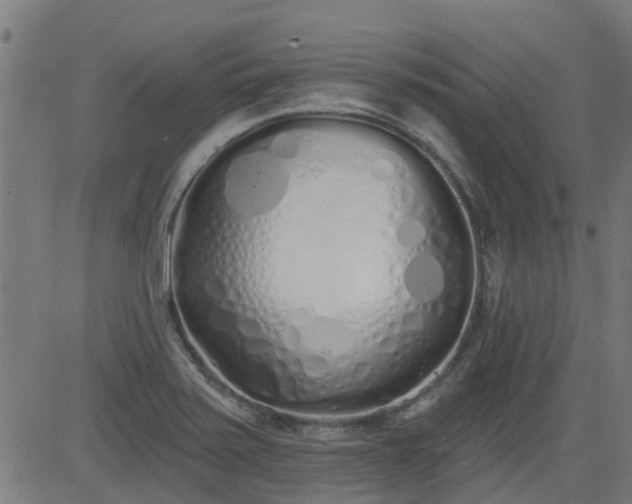X0000083591371200702162133