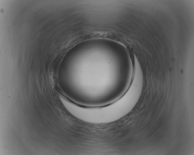 X0000083591394200702162132