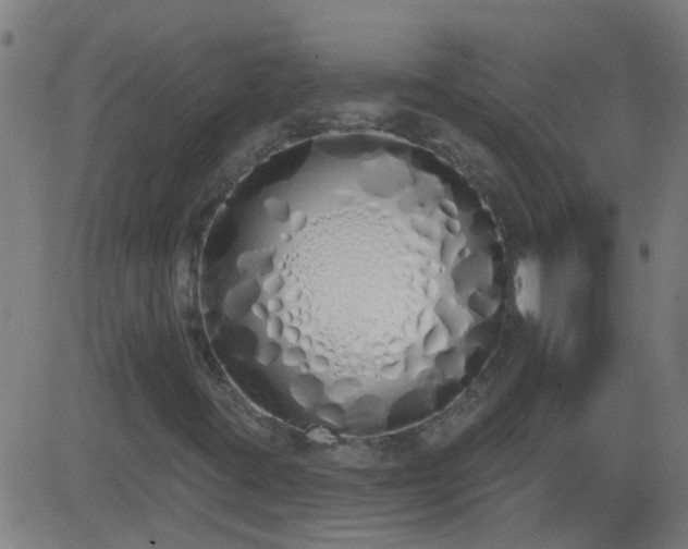 X0000083591395200702162132