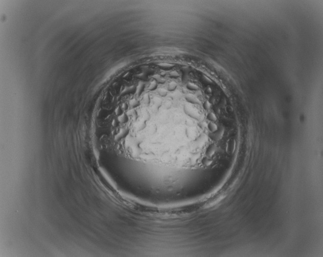 X0000083591401200702162132
