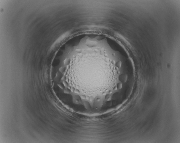 X0000083591403200702162132