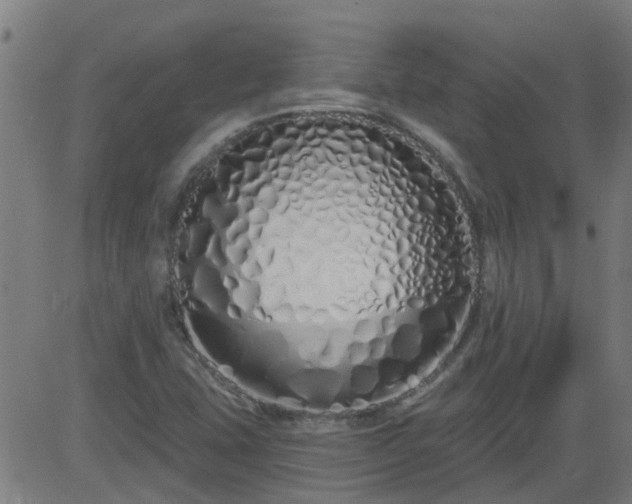 X0000083591407200702162132