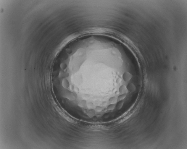 X0000083591417200702162132