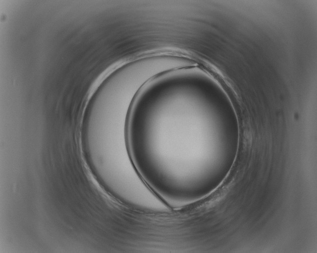X0000083591418200702162132