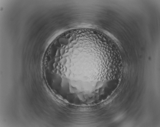 X0000083591423200702162132