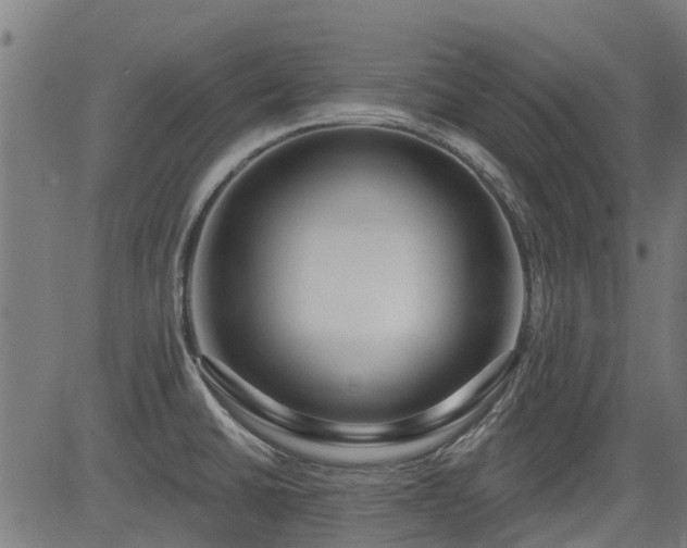 X0000083591430200702162132