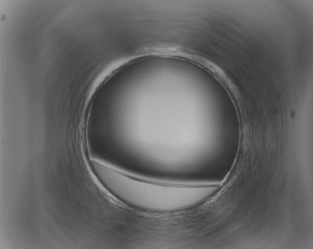 X0000083591432200702162132