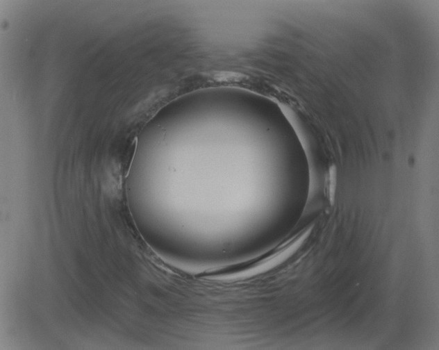X0000083591443200702162131