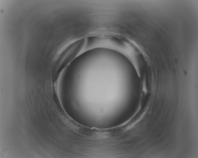 X0000083591453200702162131