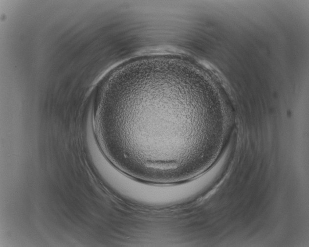 X0000083591457200702162131