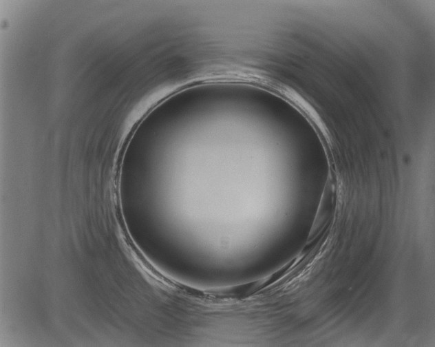 X0000083591485200702162131