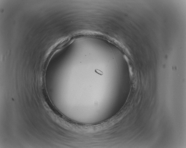 X0000083590015200702231732