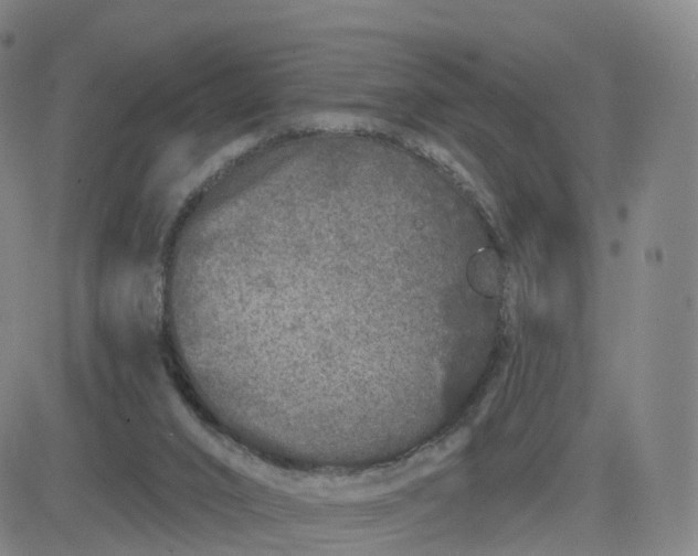 X0000083590016200702231732