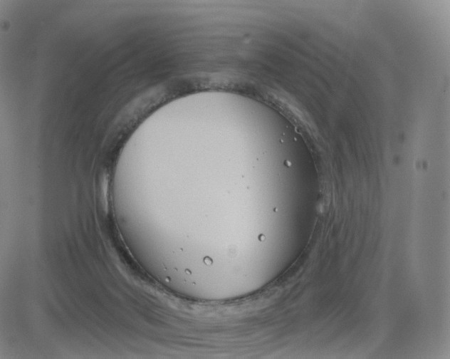 X0000083590022200702231732