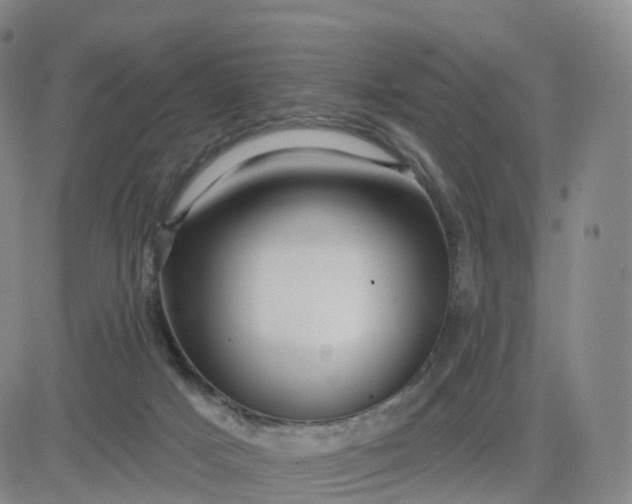 X0000083590025200702231732