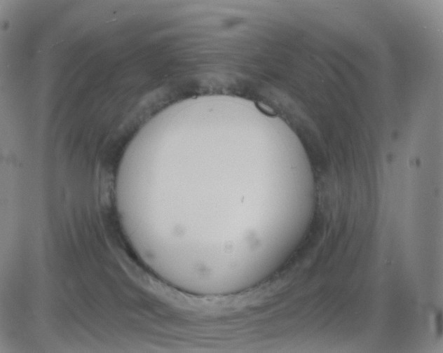 X0000083590038200702231732