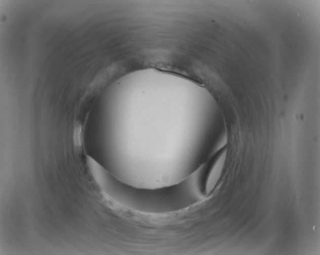 X0000083590041200702231732