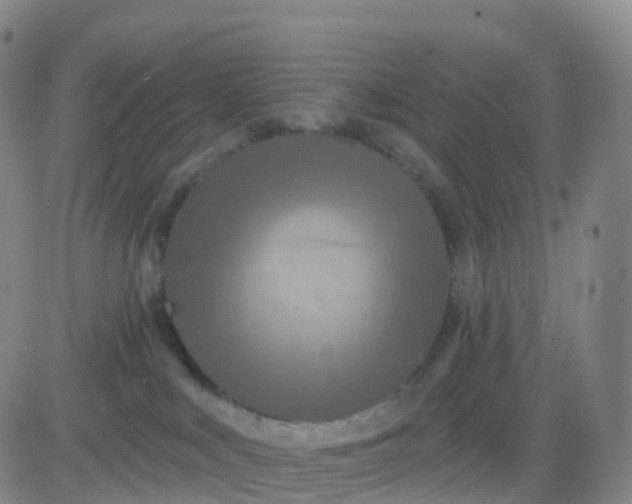 X0000083590043200702231732