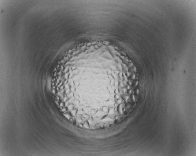 X0000083590046200702231732