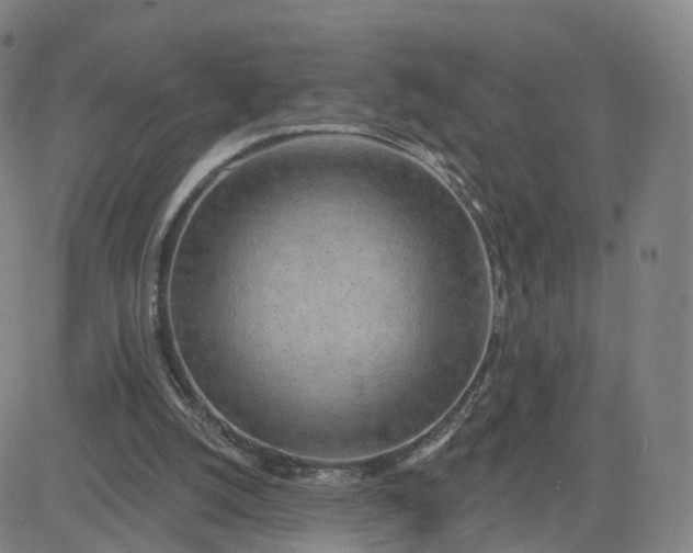 X0000083590056200702231731