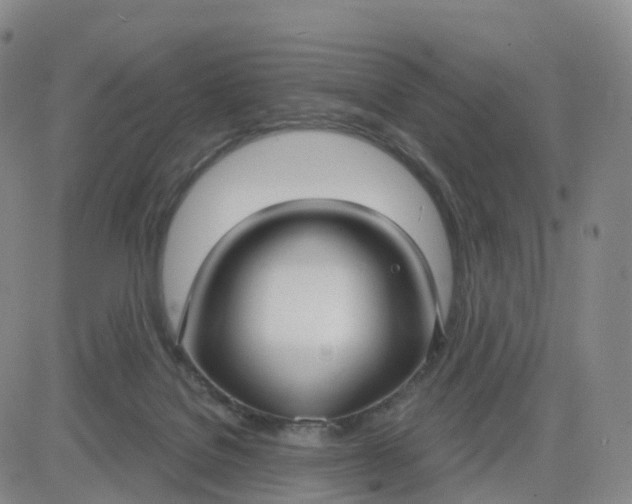 X0000083590076200702231732