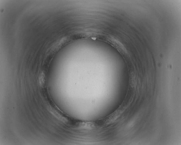 X0000083590077200702231732