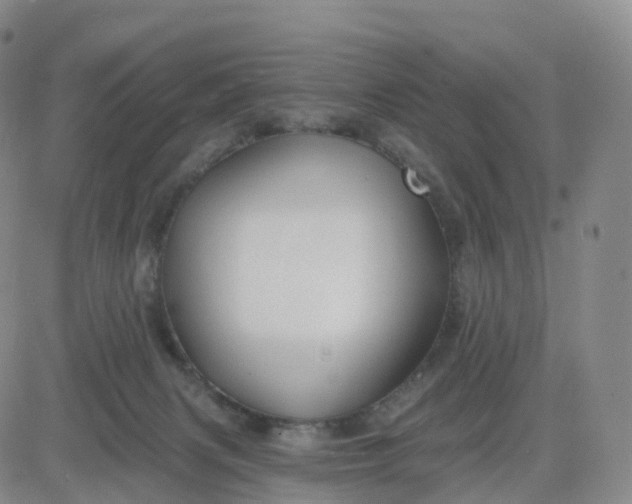 X0000083590079200702231732