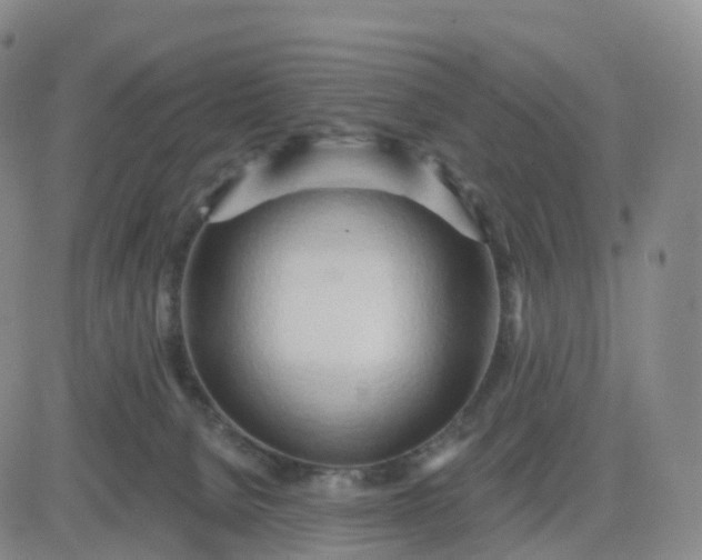 X0000083590080200702231732