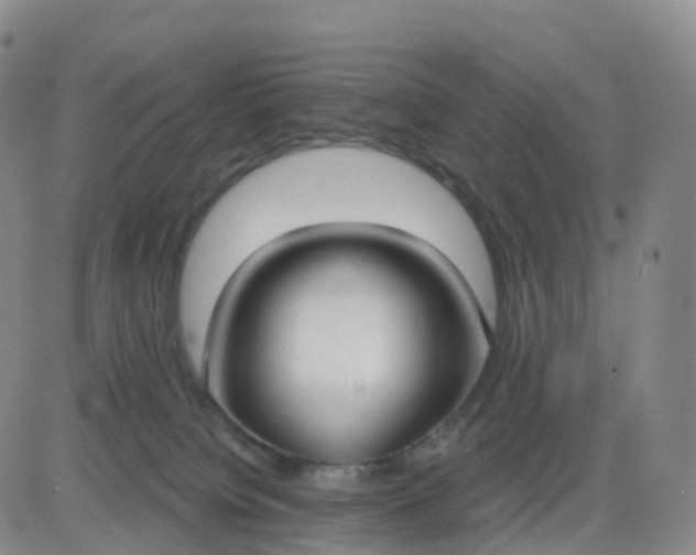 X0000083590084200702231732