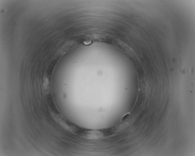 X0000083590087200702231732