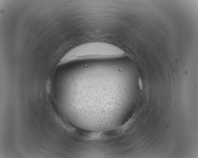 X0000083590090200702231732