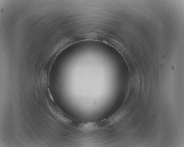 X0000083590092200702231732