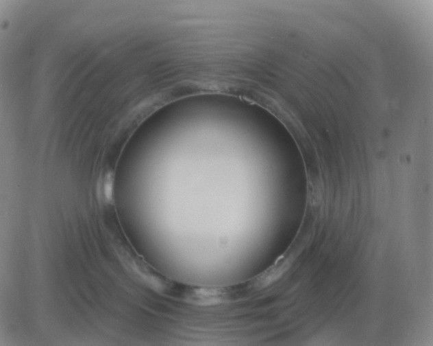 X0000083590095200702231732